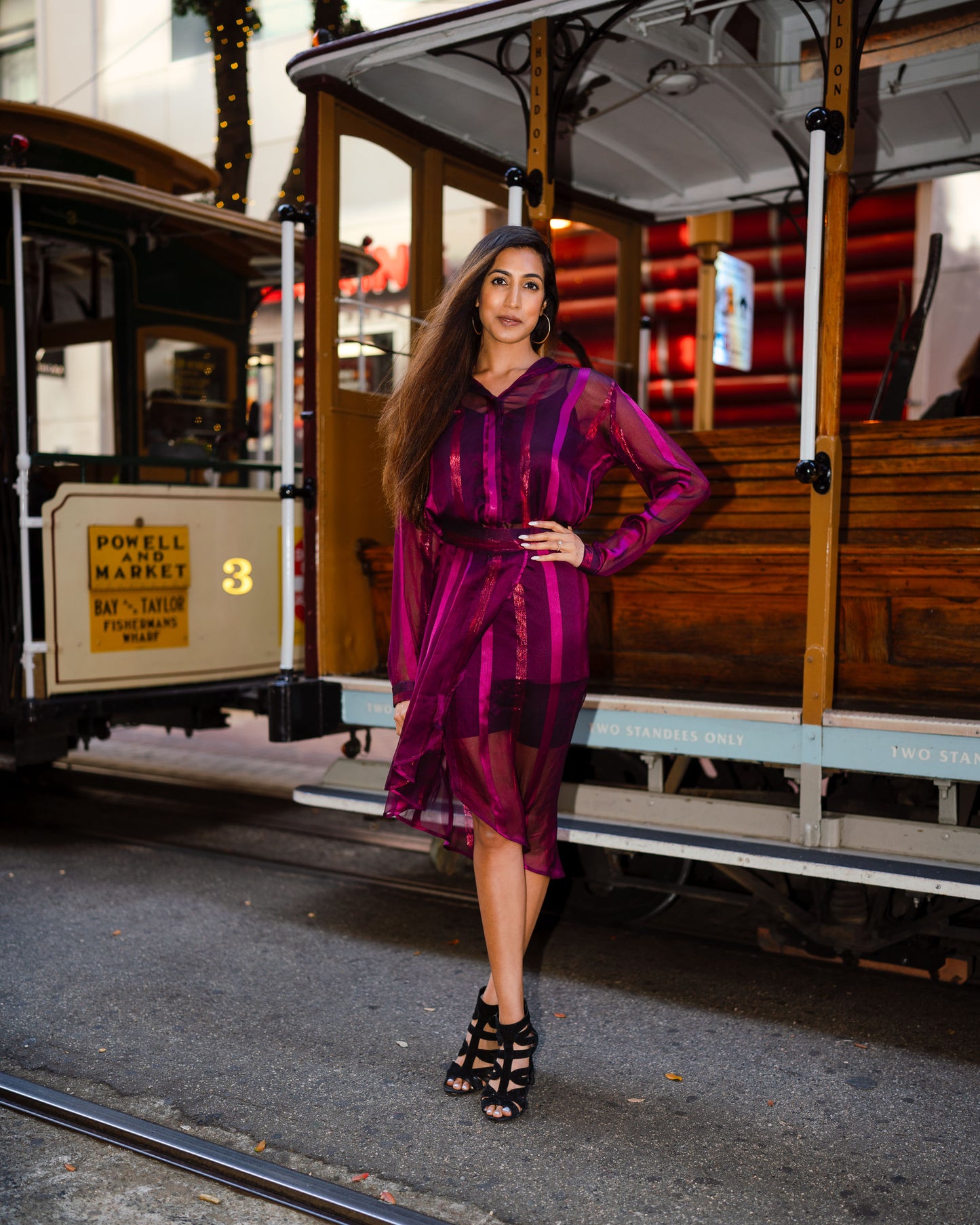 Plum Satin and Zari Sheer Shirt