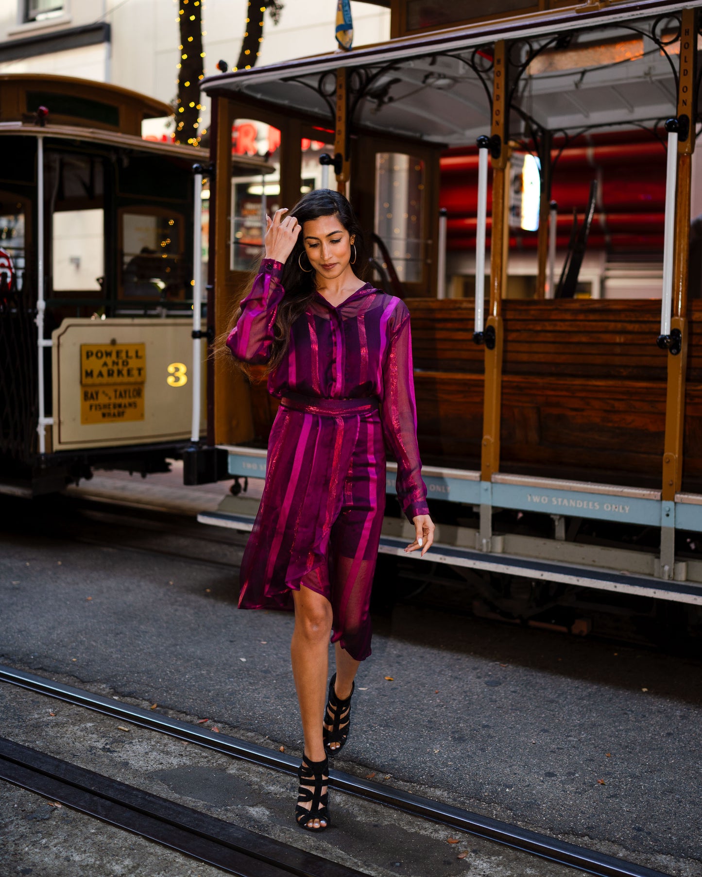 Plum Satin and Zari Pleated Sheer Skirt